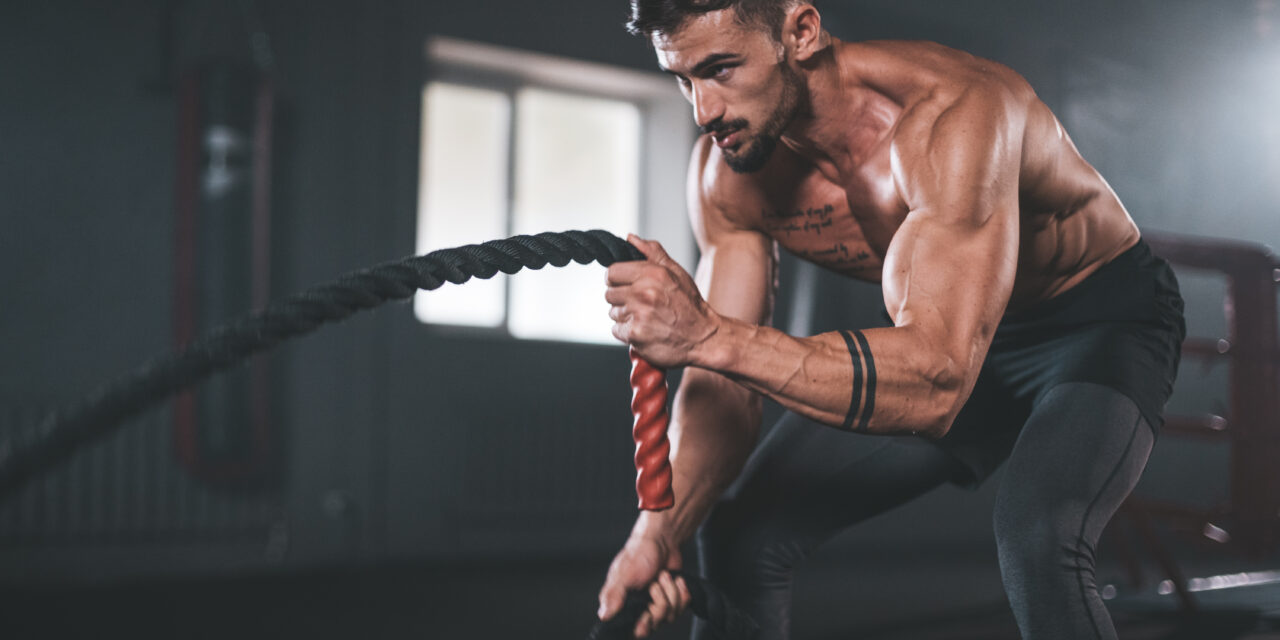 The Power of Muscle Training for Longevity and Wellness